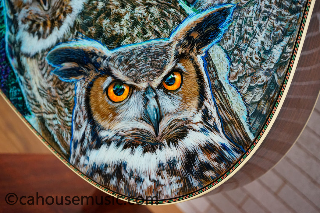 D Robert Goetzl 11 –  Martin Custom Acoustic Guitar Artist 1 of 1 Hand-Painted