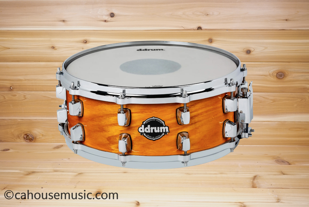 ddrum Dominion Ash 5.5x14 Birch Snare Drum