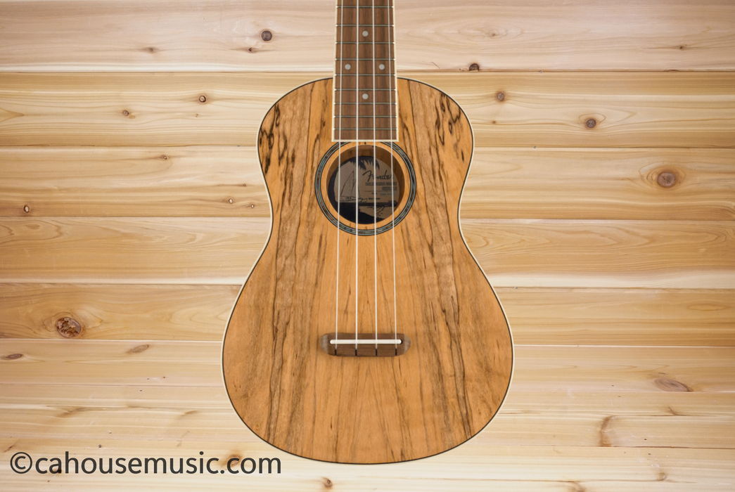 Fender Zuma Exotic Concert Ukulele Walnut Fingerboard Spalted Maple B-Stock