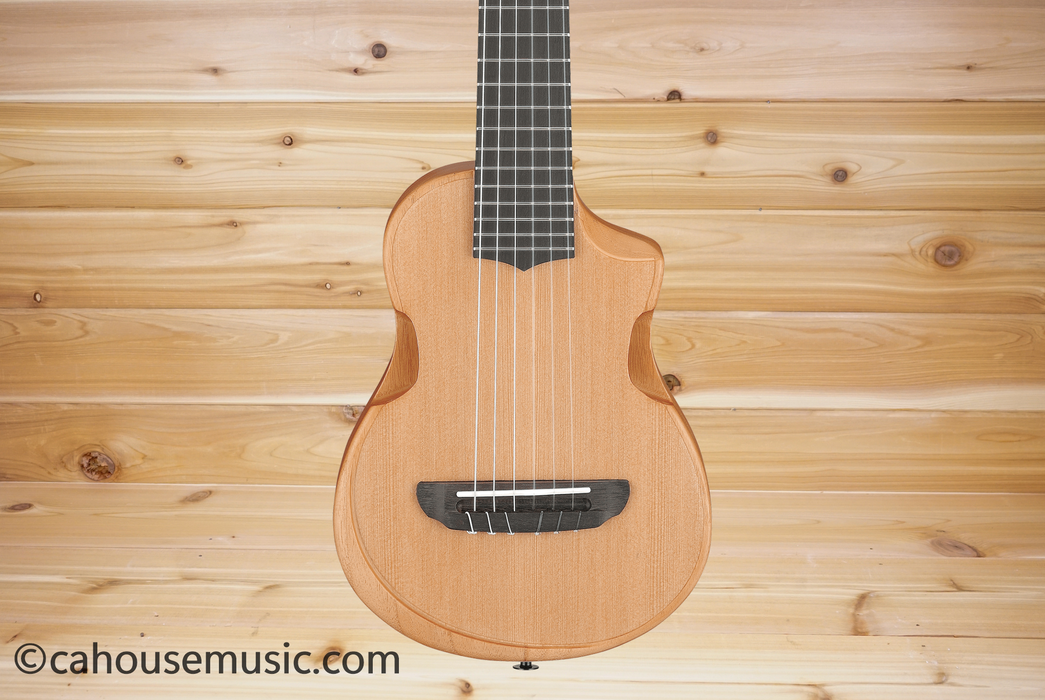 Ibanez AUP10N Open Pore Light Brown Sunburst Baritone Guitalele B-Stock