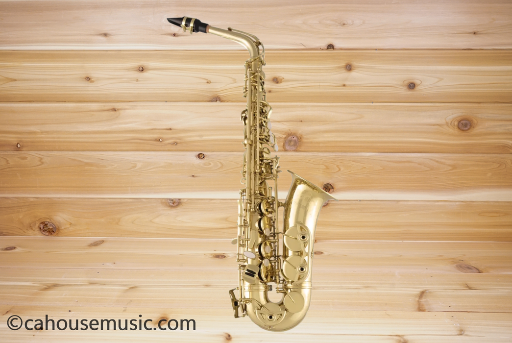 Selmer SAS711 Professional Alto Saxophone