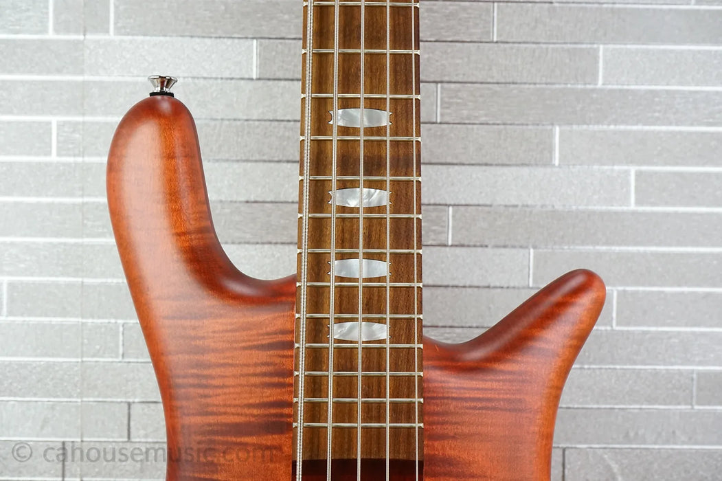 Spector Euro 5 RST - Sienna Stain