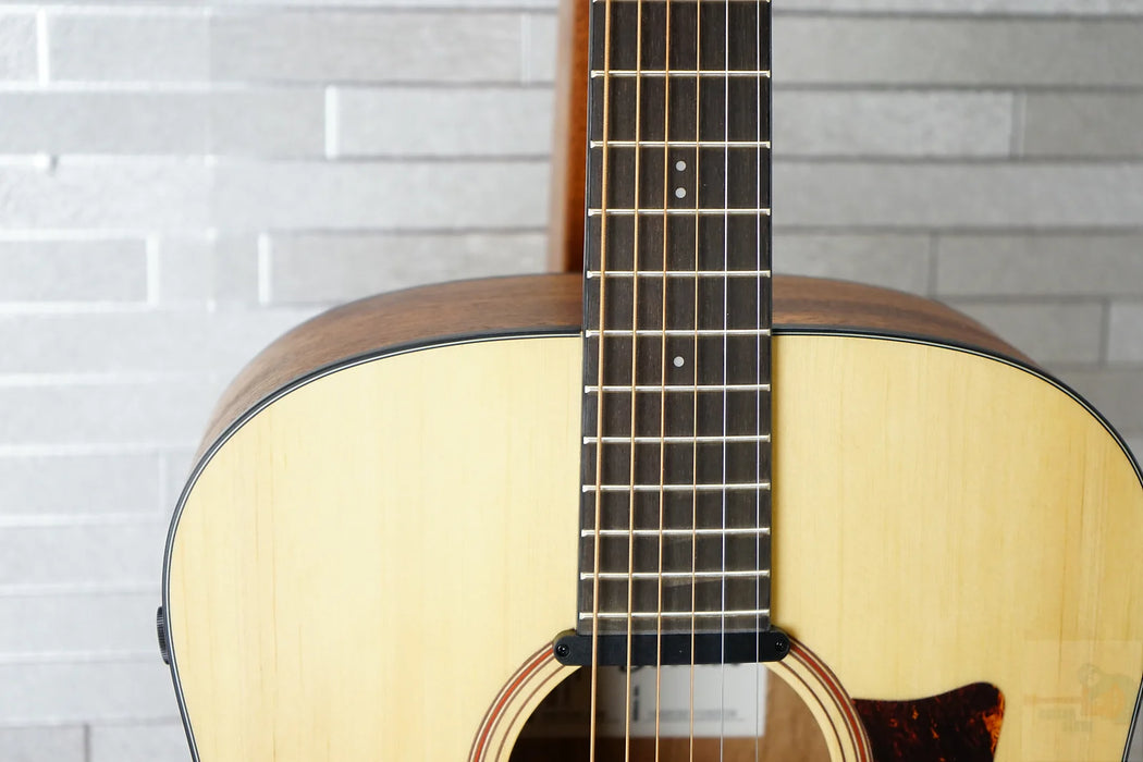 Ibanez AAD100E-OPN Advanced Acoustic Dreadnought - Open Pore Natural