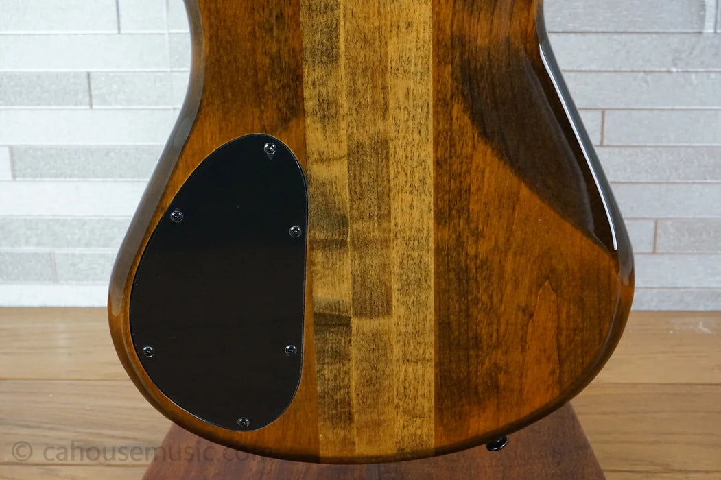 Spector NS Ethos 5 - Super Faded Black