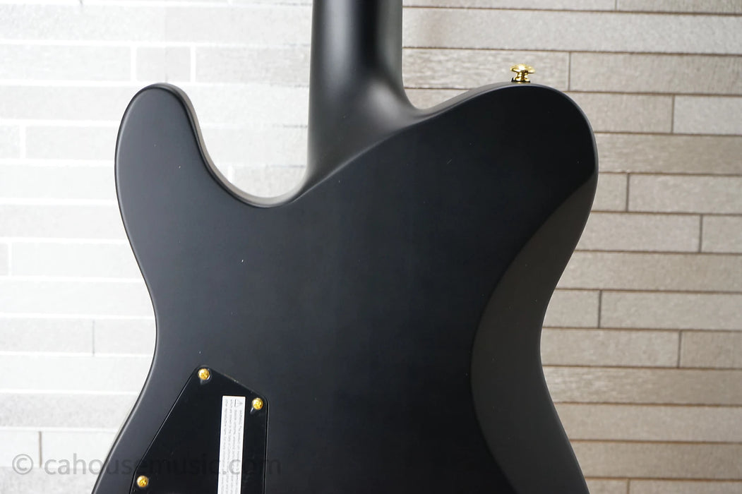 ESP LTD AA-1 Alan Ashby Signature Series - Black Satin