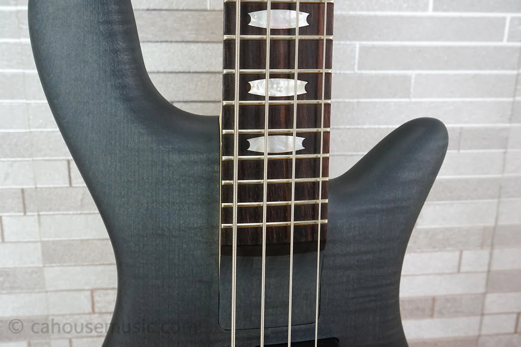 Spector Euro 4 LX Bolt-On - Transparent Black Stain Matte