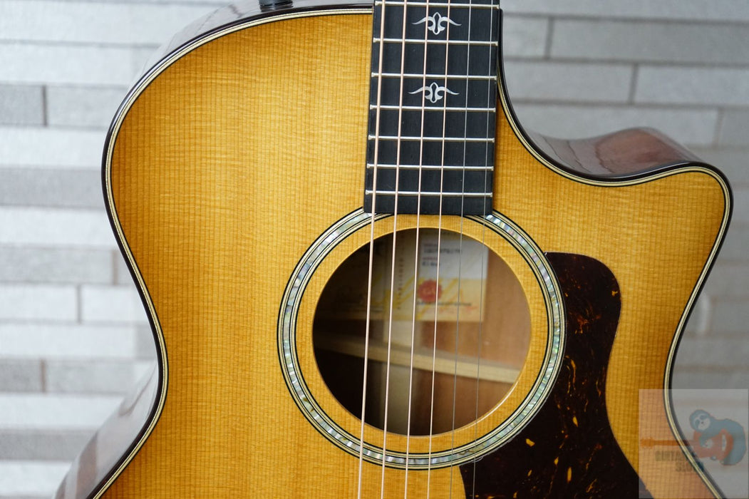 Taylor 514ce with V-Class Bracing - Urban Ironbark