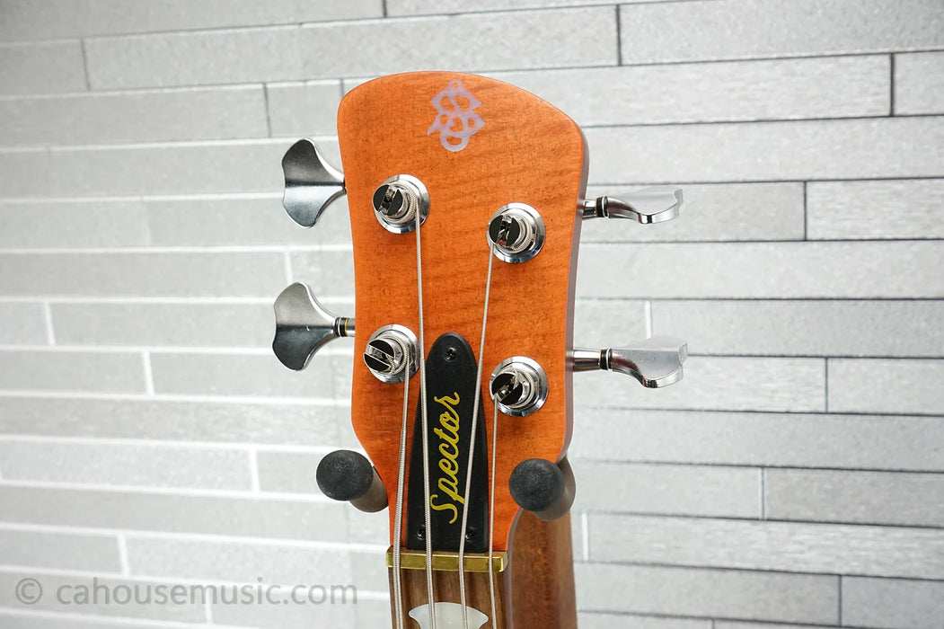 Spector Euro 4 RST - Sienna Stain