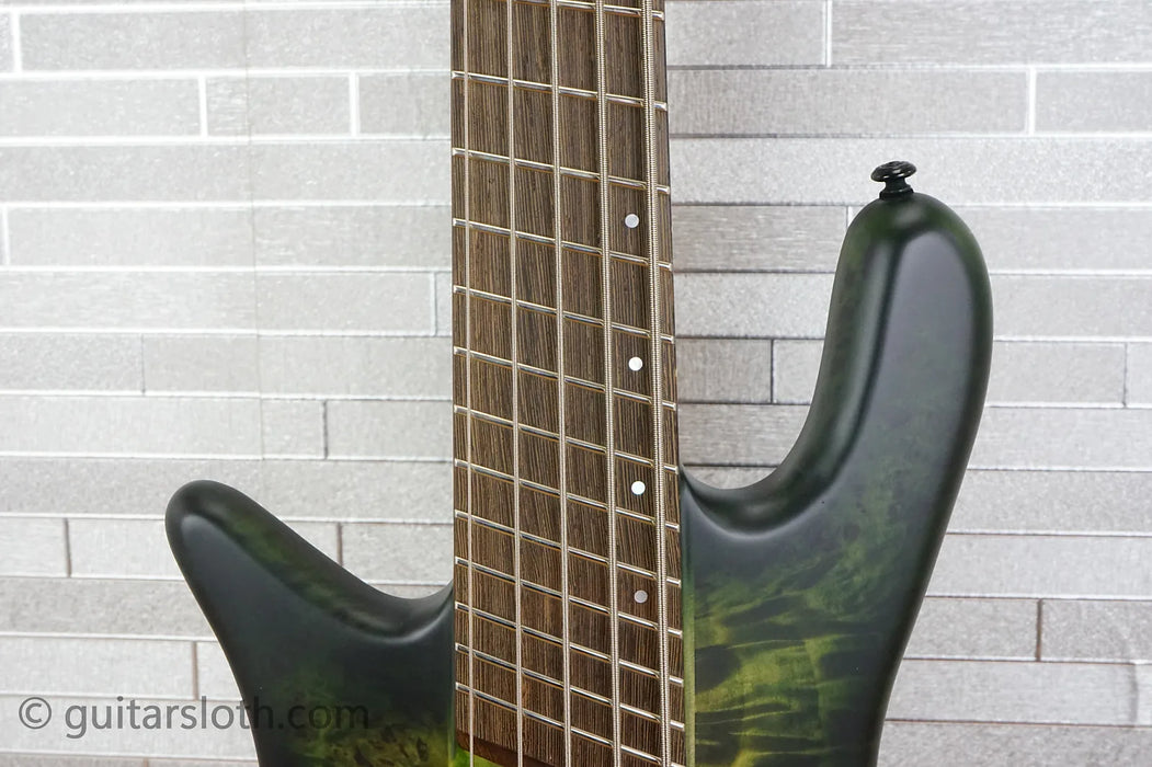 Spector NS Dimension 5 Left-Handed - Haunted Moss