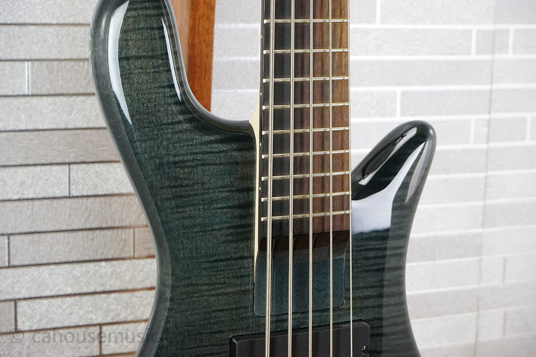Spector Bantam 5 - Black Stain