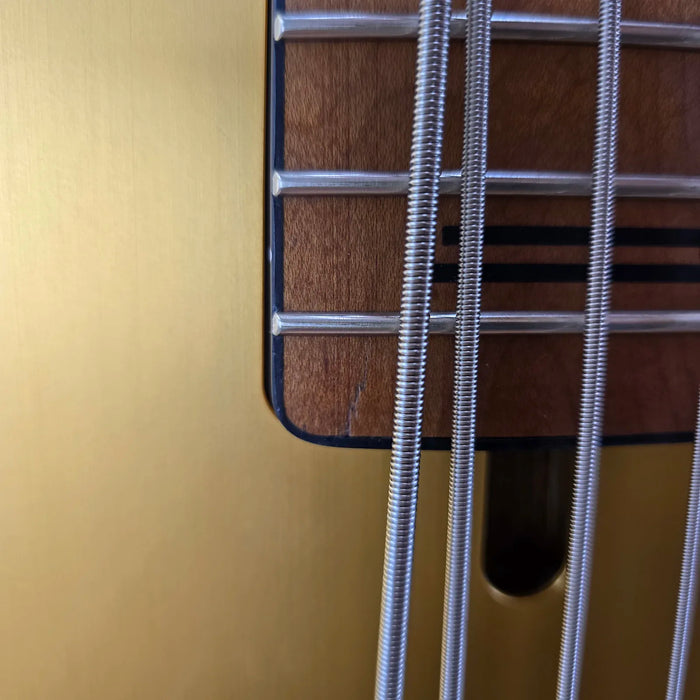 Schecter Model-T 5 Exotic Ziricote - Natural Satin