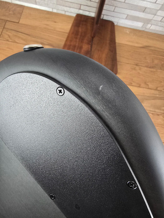 Spector Euro 4 LX Bolt-On - Transparent Black Stain Matte