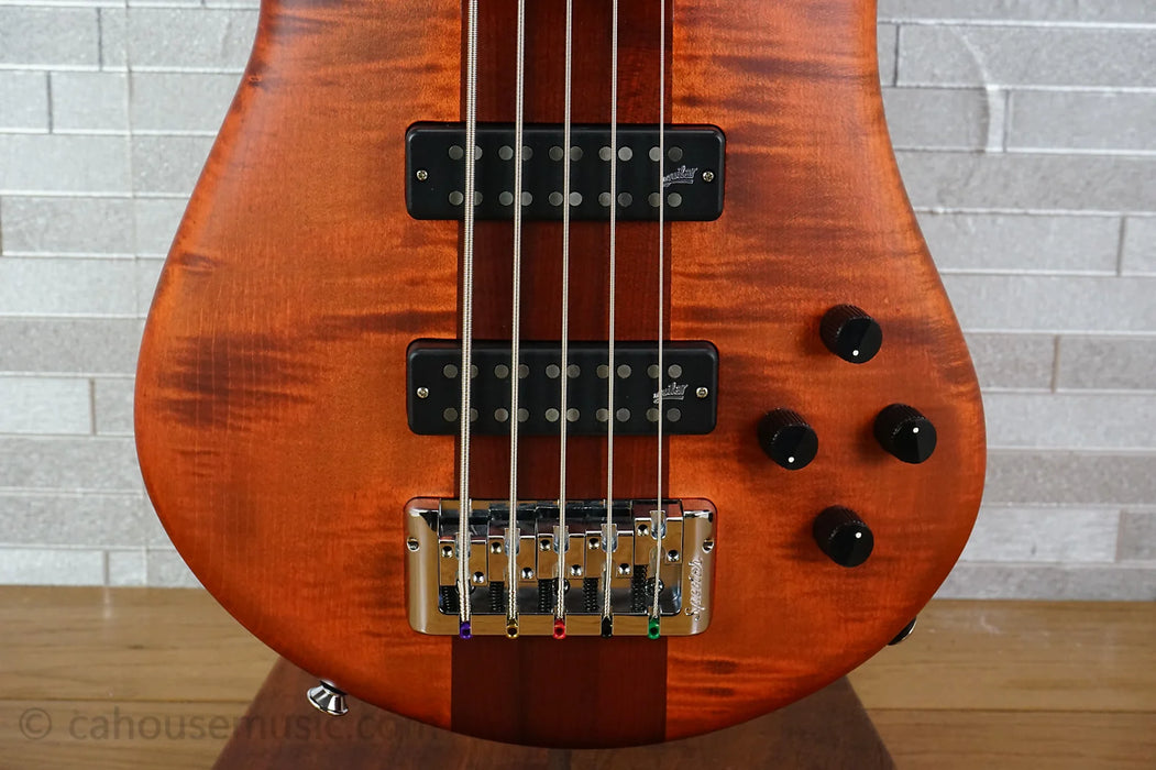 Spector Euro 5 RST - Sienna Stain