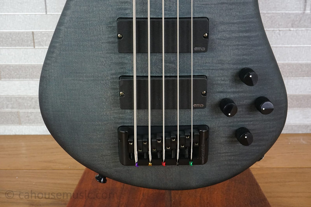 Spector Euro 5 LX - Trans Black Stain Matte