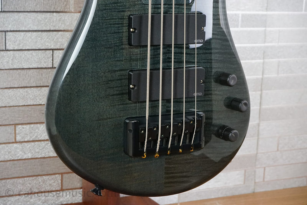 Spector Bantam 5 - Black Stain