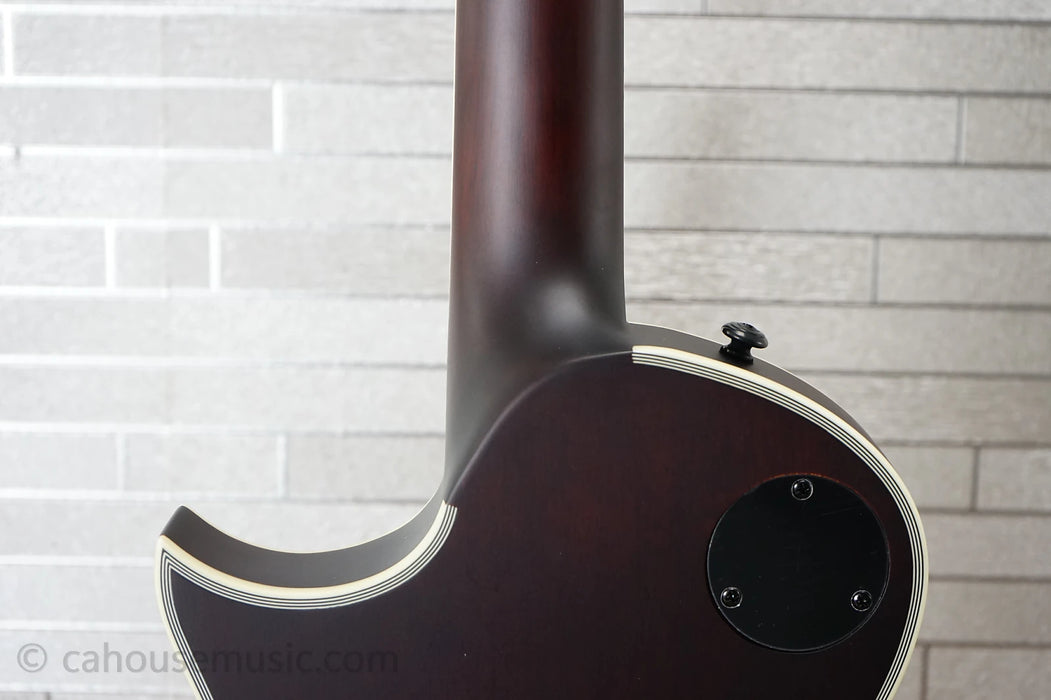 ESP LTD EC-1000T CTM - Tobacco Sunburst Satin