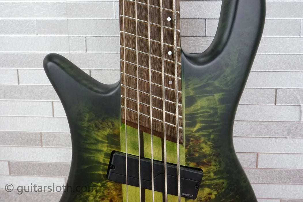 Spector NS Dimension 5 Left-Handed - Haunted Moss