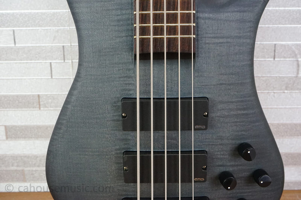 Spector Euro 5 LX - Trans Black Stain Matte