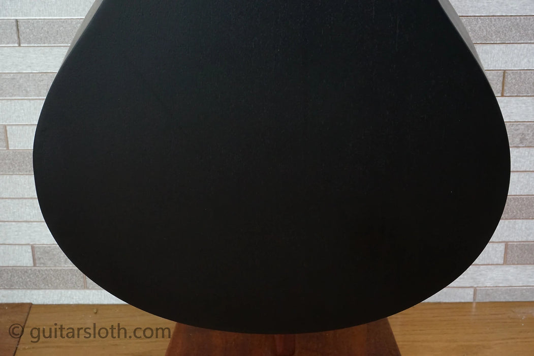 Ibanez AEG721-BOT - Blacked Out