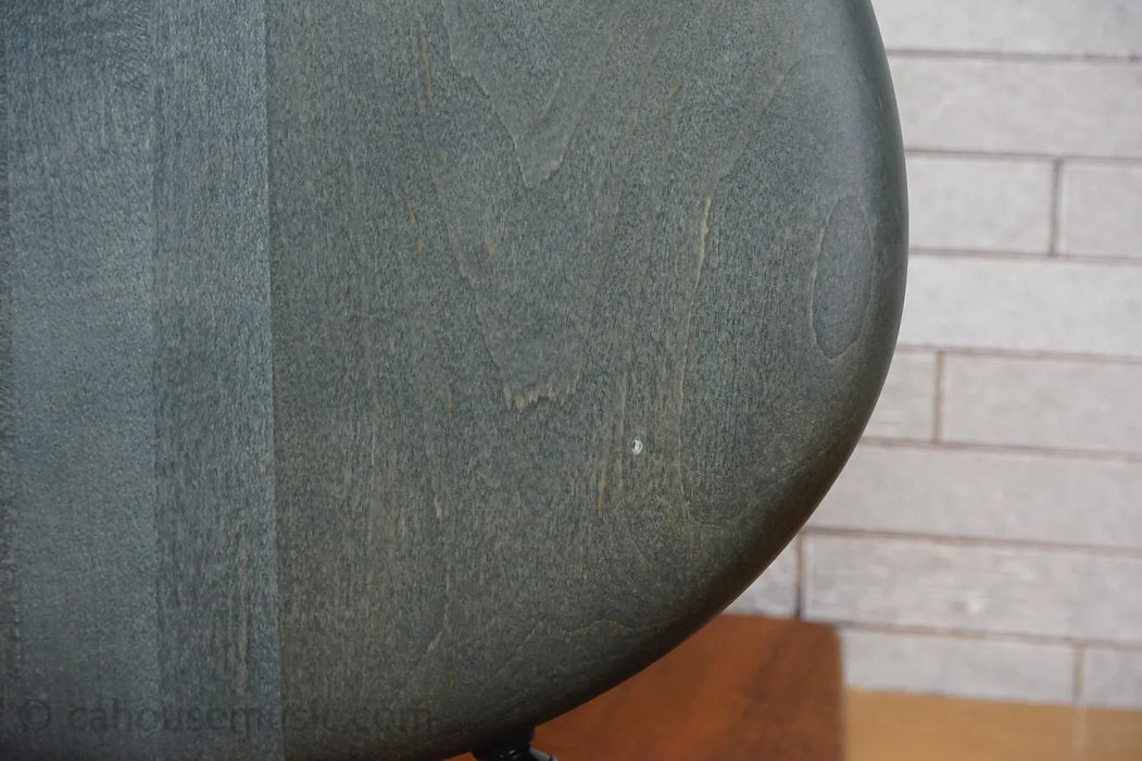 Spector Euro 5 LX - Trans Black Stain Matte