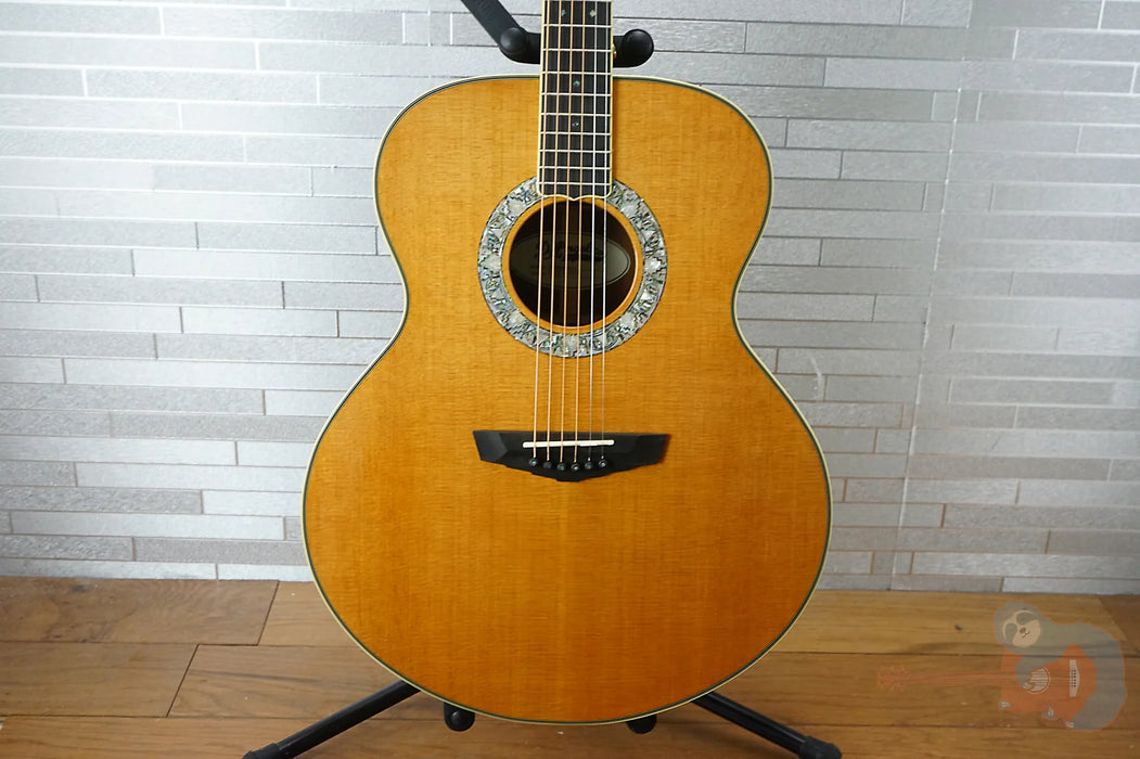 Deluxe Madison - Jumbo Acoustic w/ Hardshell Case- Limited Edition - Manufacturer's Sample