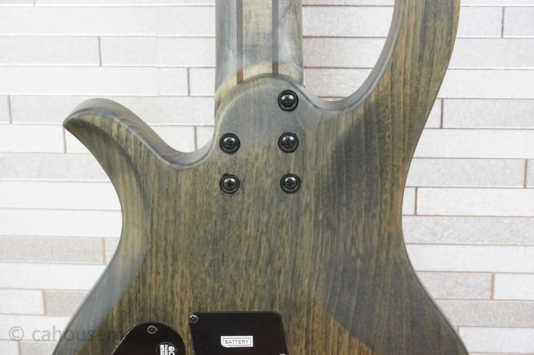 Schecter Riot-5 - Aurora Burst