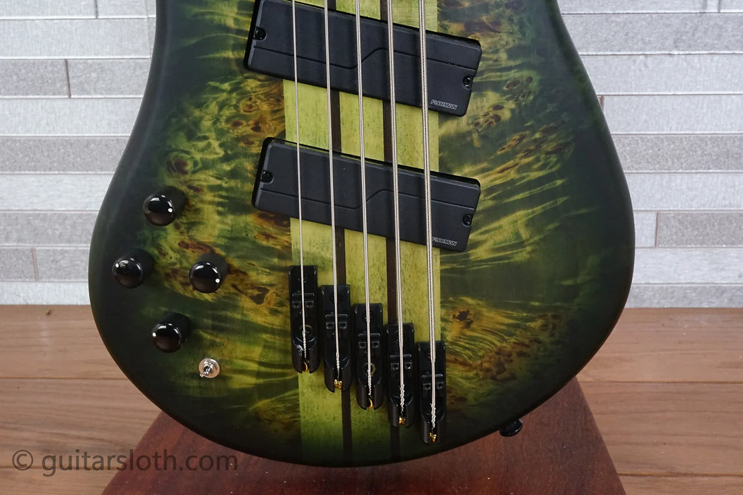 Spector NS Dimension 5 Left-Handed - Haunted Moss
