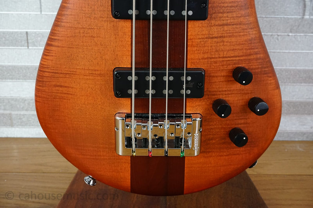 Spector Euro 4 RST - Sienna Stain