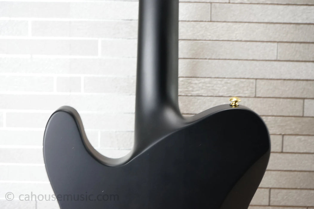 ESP LTD AA-1 Alan Ashby Signature Series - Black Satin