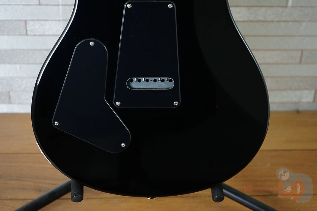 PRS CE 24 - Custom Color - Blackout