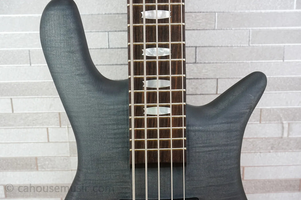 Spector Euro 5 LX - Trans Black Stain Matte