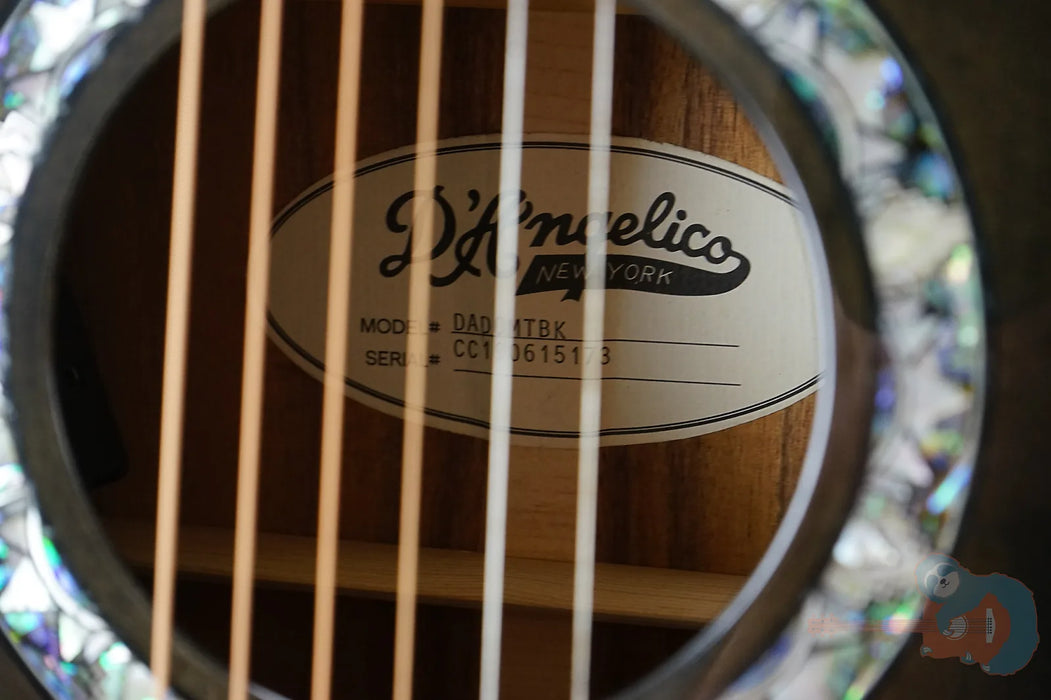 D'Angelico Deluxe Tammany - Grey Burst - Aspen Exclusive