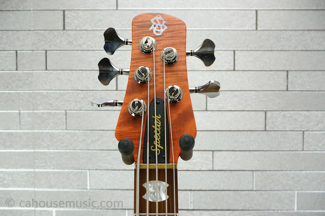 Spector Euro 5 RST - Sienna Stain