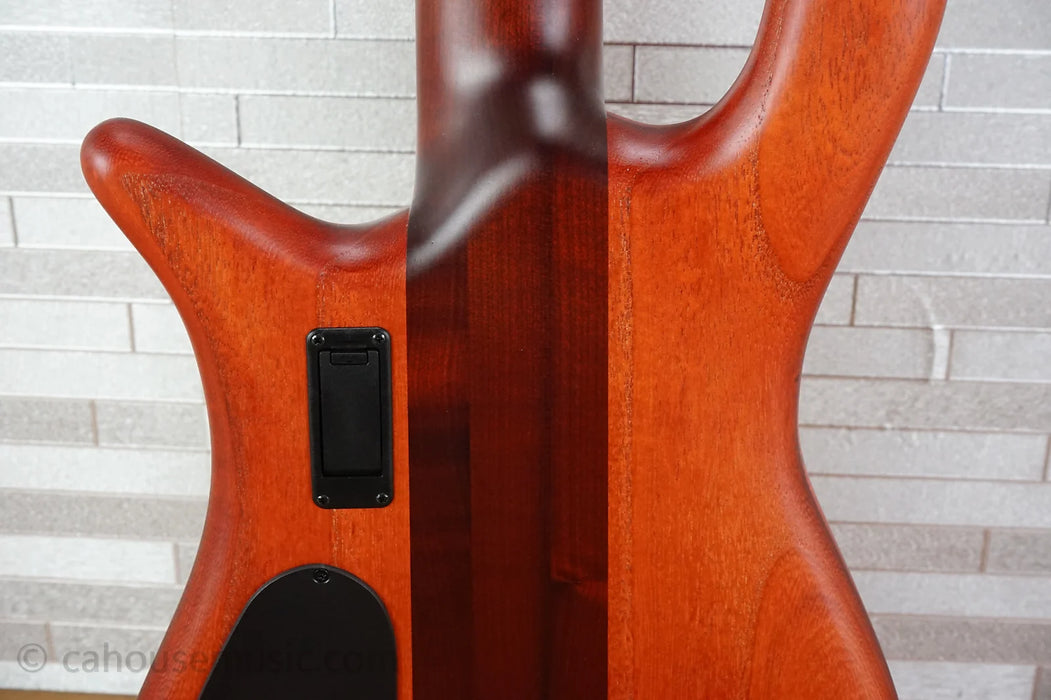 Spector Euro 5 RST - Sienna Stain