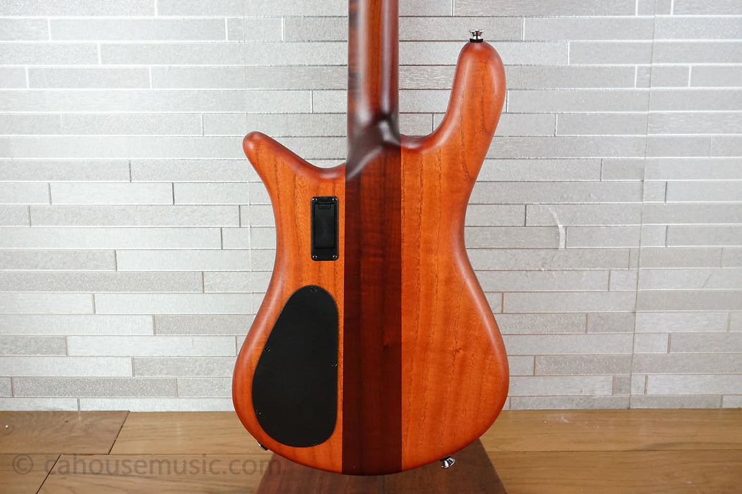 Spector Euro 4 RST - Sienna Stain