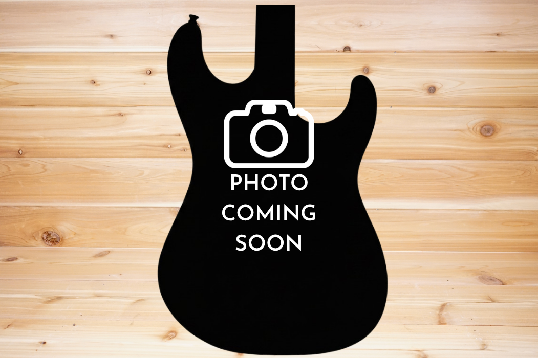 Fender Standard Telecaster Butterscotch Blonde Electric Guitar