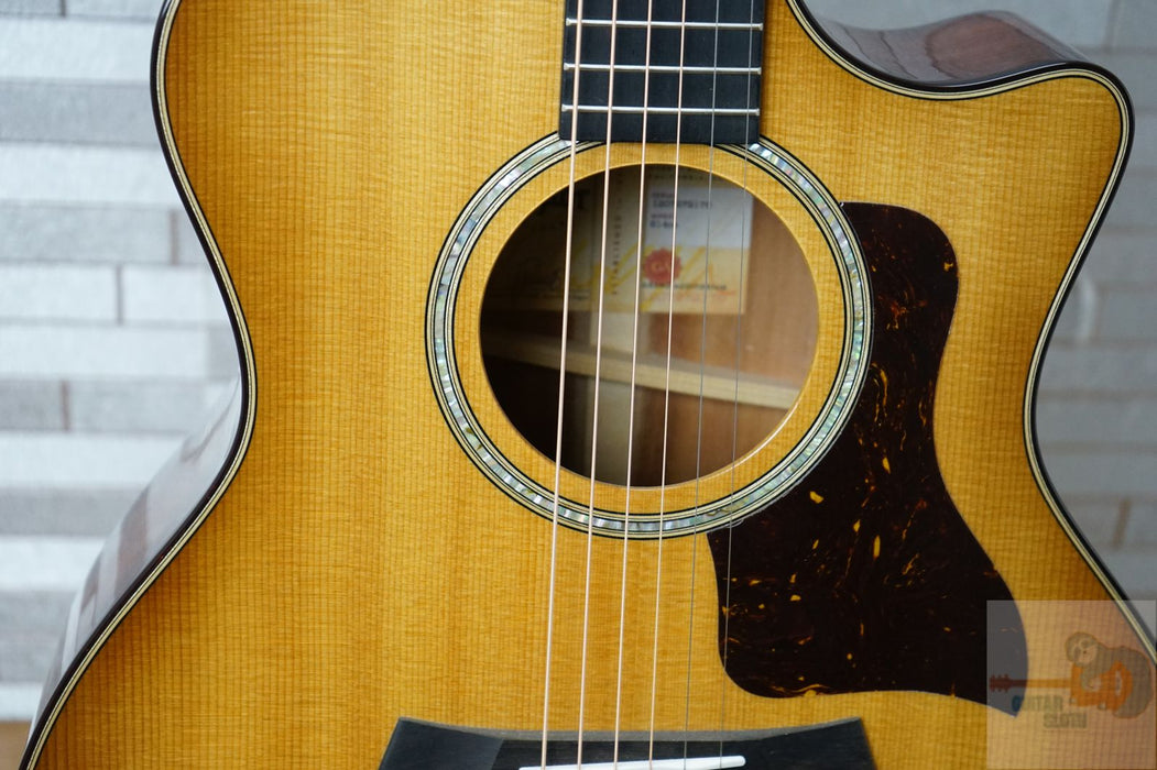 Taylor 514ce with V-Class Bracing - Urban Ironbark