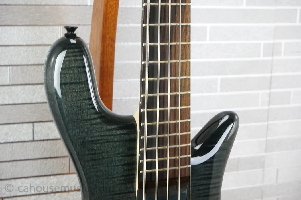 Spector Bantam 5 - Black Stain