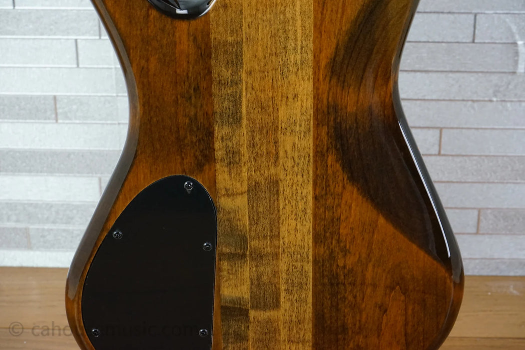 Spector NS Ethos 5 - Super Faded Black