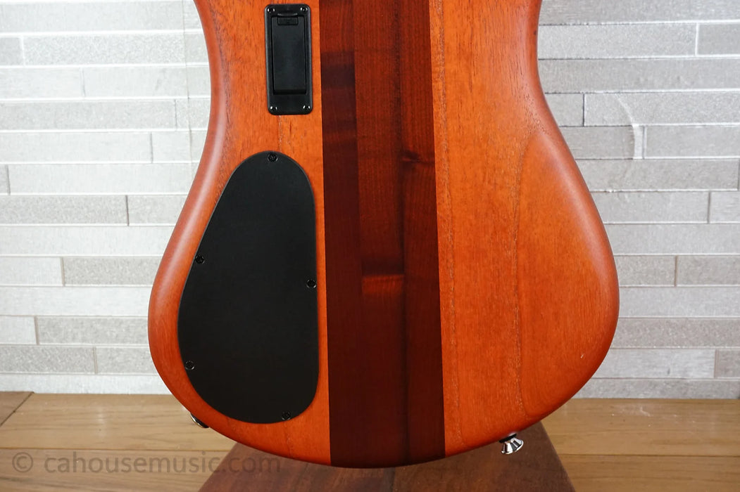 Spector Euro 5 RST - Sienna Stain