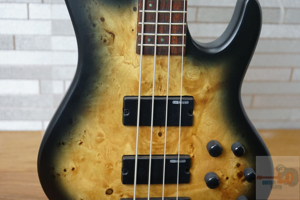 ESP LTD D-4 - Black Natural Burst Satin