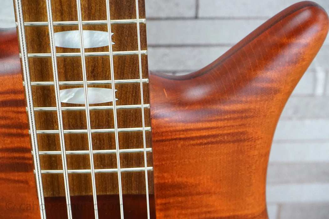 Spector Euro 5 RST - Sienna Stain