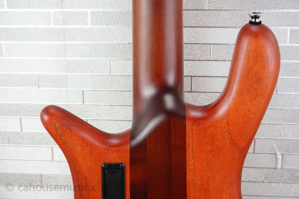 Spector Euro 5 RST - Sienna Stain