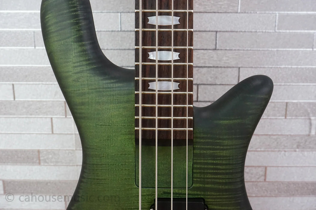Spector Euro 4 LX Bolt-On - Haunted Moss