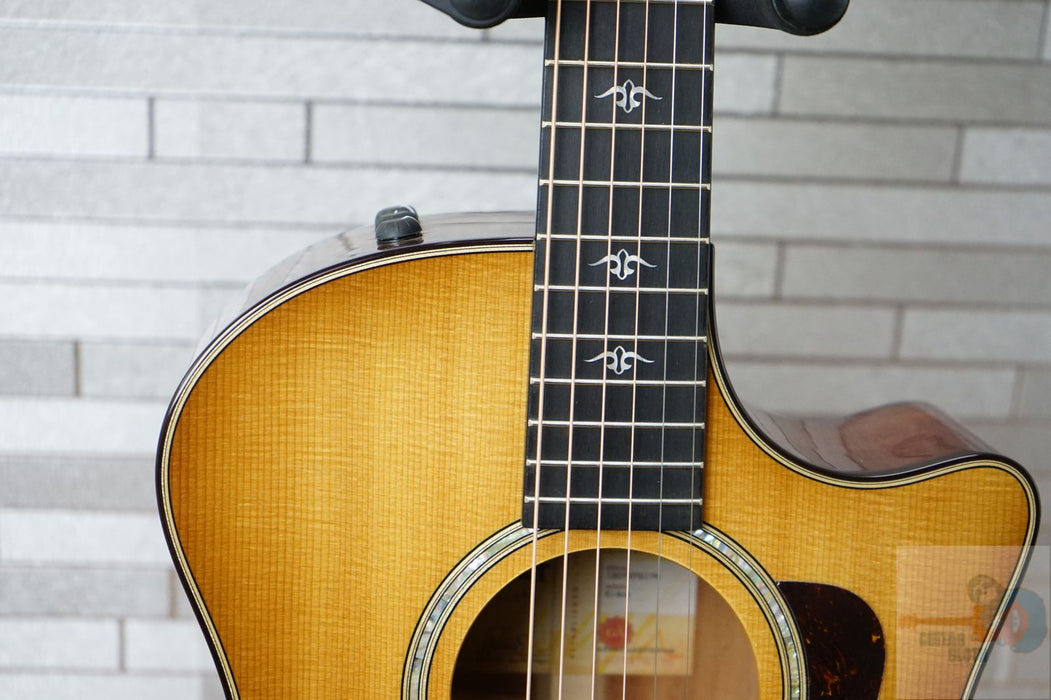 Taylor 514ce with V-Class Bracing - Urban Ironbark