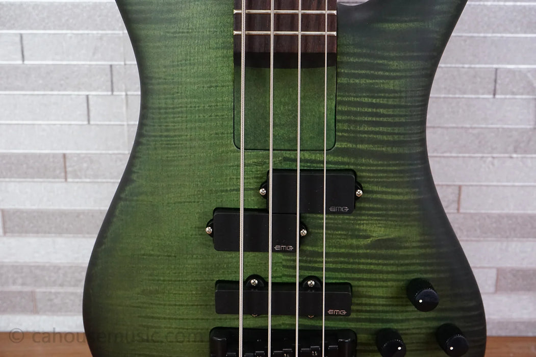 Spector Euro 4 LX Bolt-On - Haunted Moss