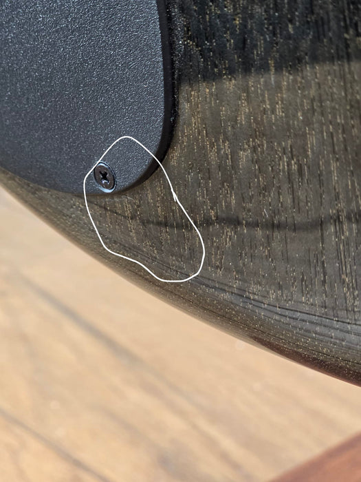 Spector Bantam 5 - Black Stain