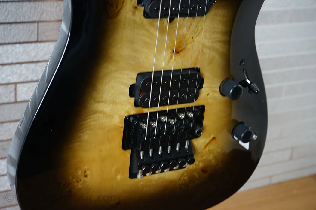 ESP LTD H-1001 FR - Black Natural Burst