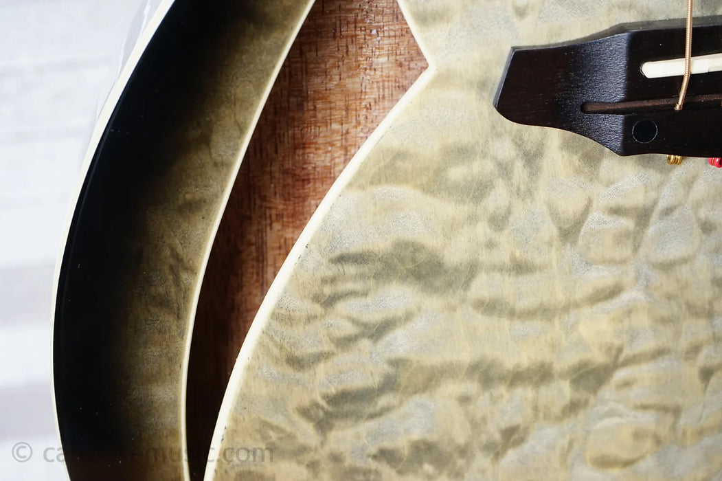 ESP LTD TL-6 QM- Charcoal Burst