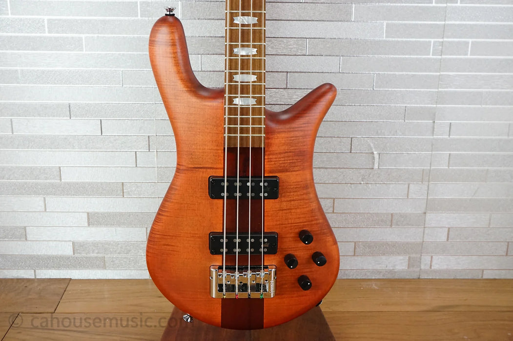 Spector Euro 4 RST - Sienna Stain